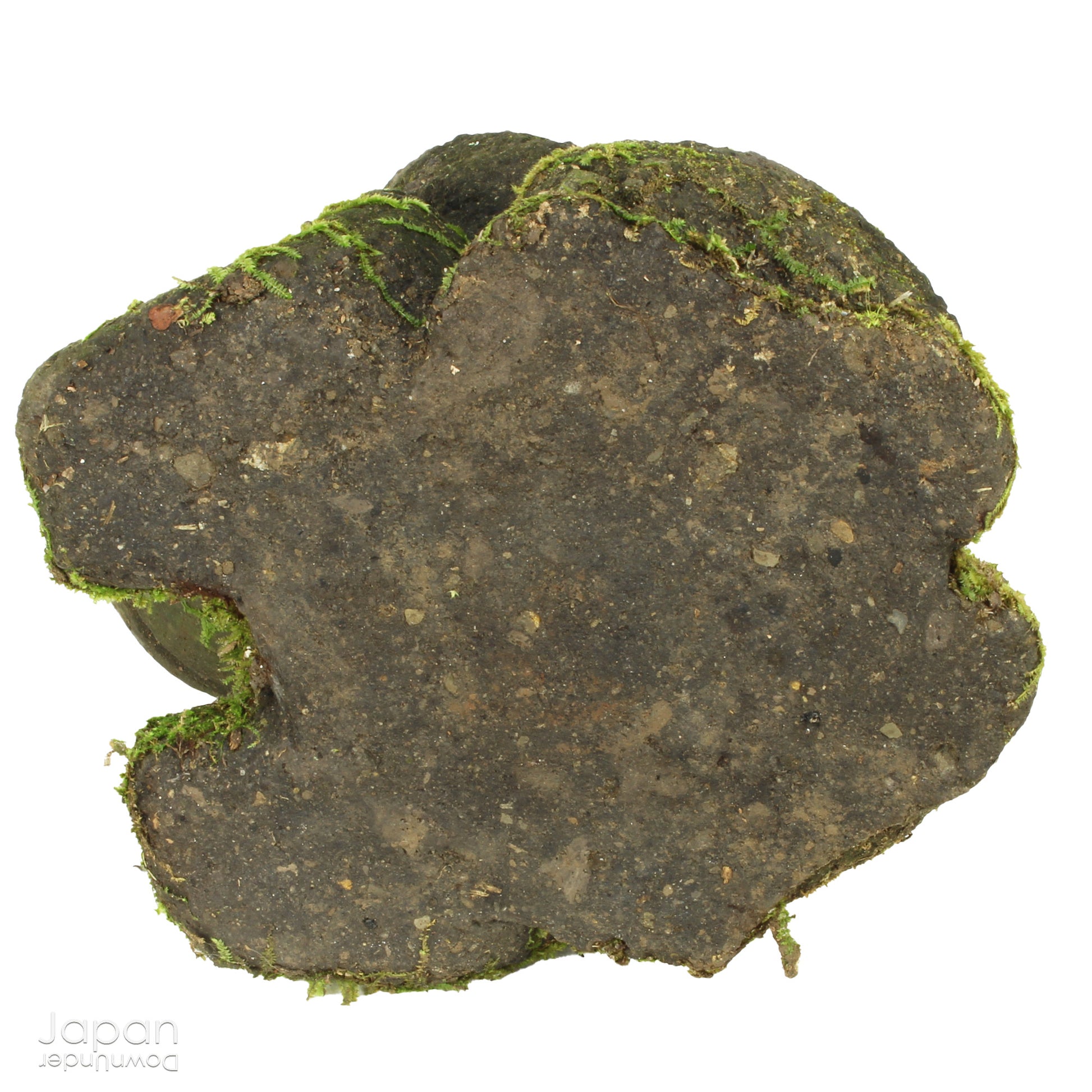 Transform your garden or indoor space with the timeless beauty and positive energy of our traditional Japanese stone frog garden decor. Known for symbolizing good fortune, luck, and protection, this delightful frog will bring a sense of tranquility and joy wherever it is placed.
Expertly crafted from volcanic stone, the frog is a unique and meaningful piece of art, embodying centuries-old symbolism. In Japan, the frog, or Kaeru, is believed to bring good things back into your life - whether it’s wealth, su