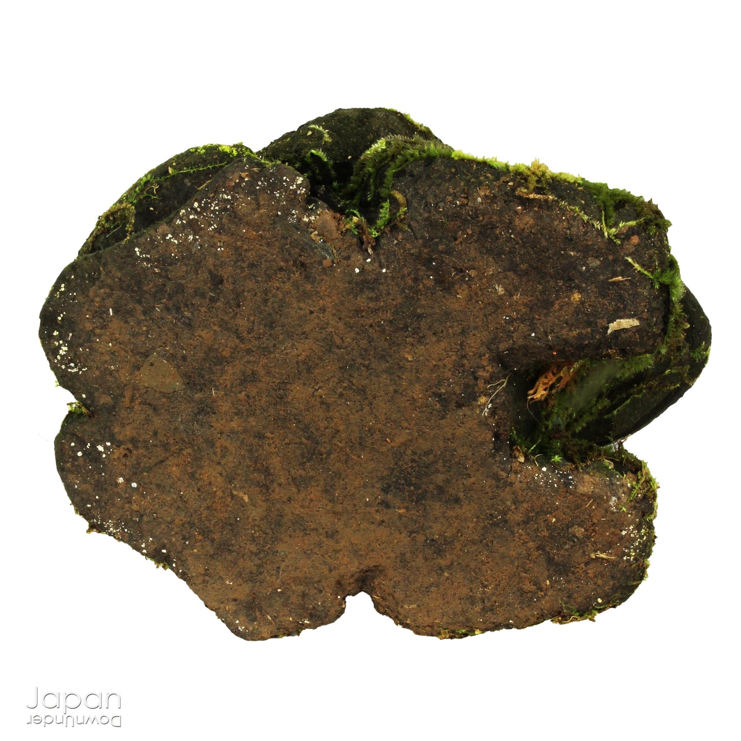 small quaint handcrafted frog garden ornament - good luck charm in volcanic stone