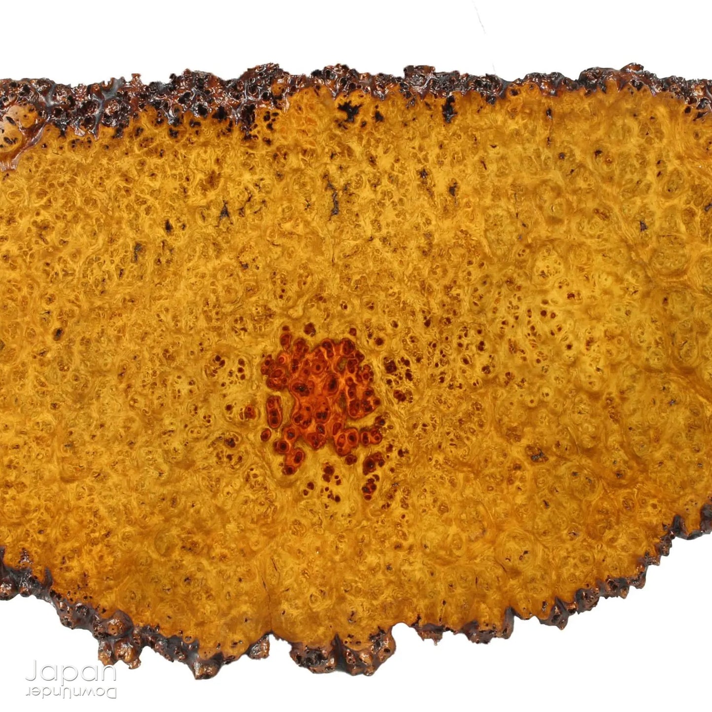 Bring timeless elegance and natural beauty into your space with this exquisite stand, handcrafted from rare burled Chinese quince wood. Designed to showcase bonsai, suiseki viewing stones, treasured ornaments, or seasonal flower arrangements, this piece adds a refined touch to any setting.