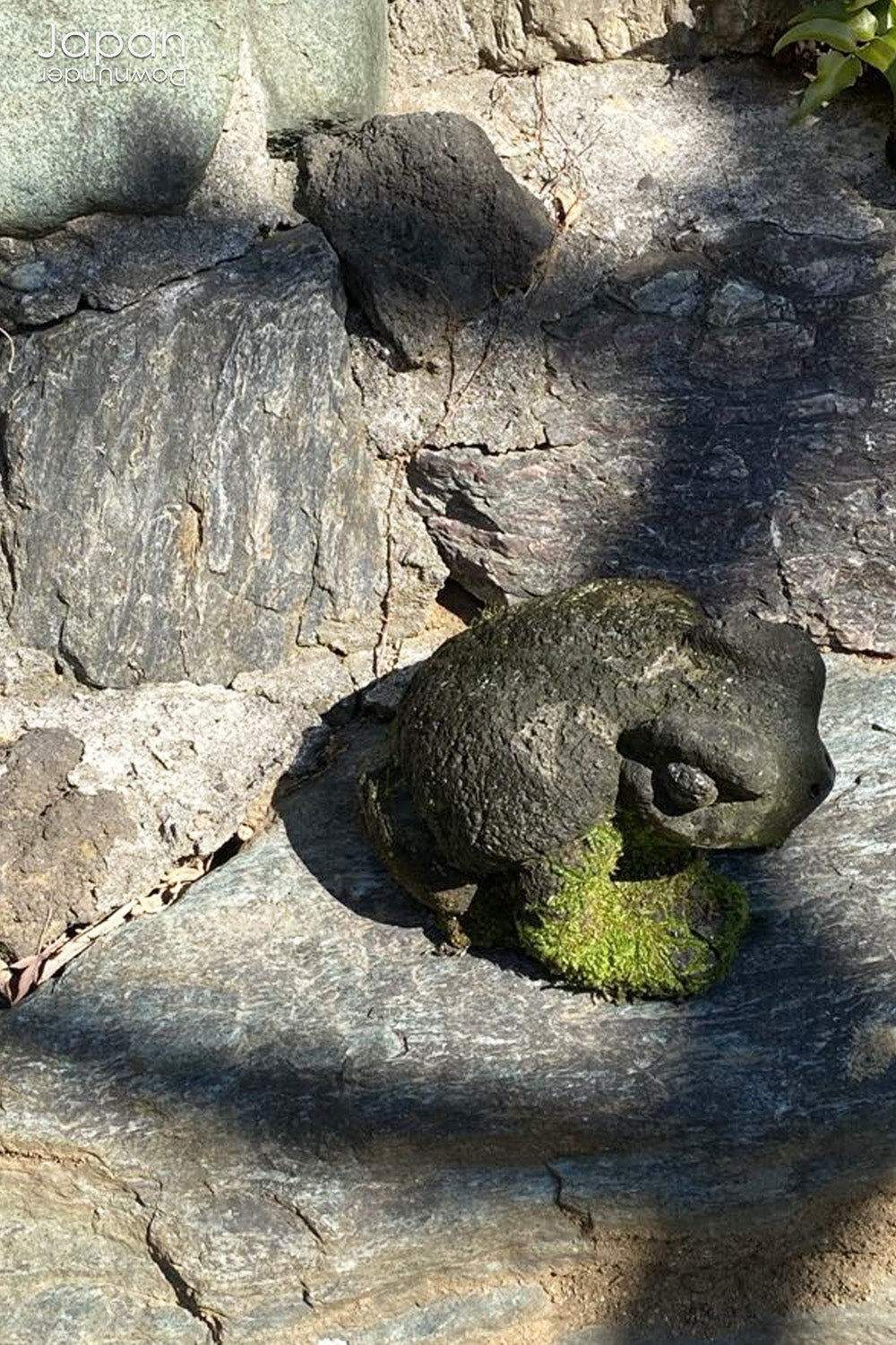 Transform your garden or indoor space with the timeless beauty and positive energy of our traditional Japanese stone frog garden decor. Known for symbolizing good fortune, luck, and protection, this delightful frog will bring a sense of tranquility and joy wherever it is placed.