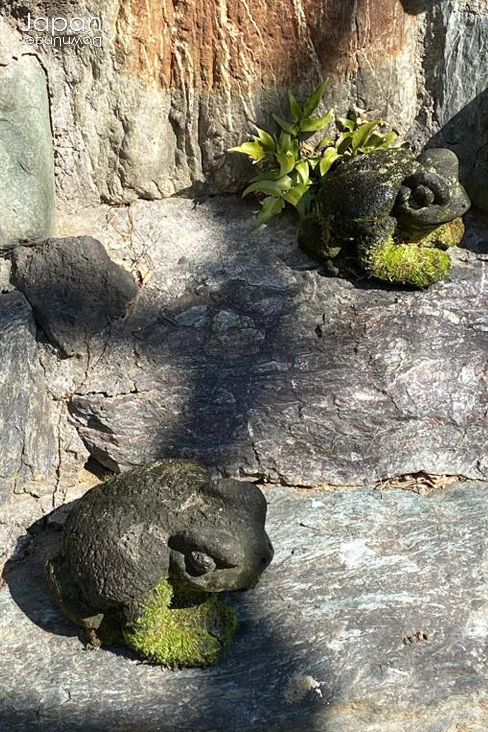 Transform your garden or indoor space with the timeless beauty and positive energy of our traditional Japanese stone frog garden decor. Known for symbolizing good fortune, luck, and protection, this delightful frog will bring a sense of tranquility and joy wherever it is placed.