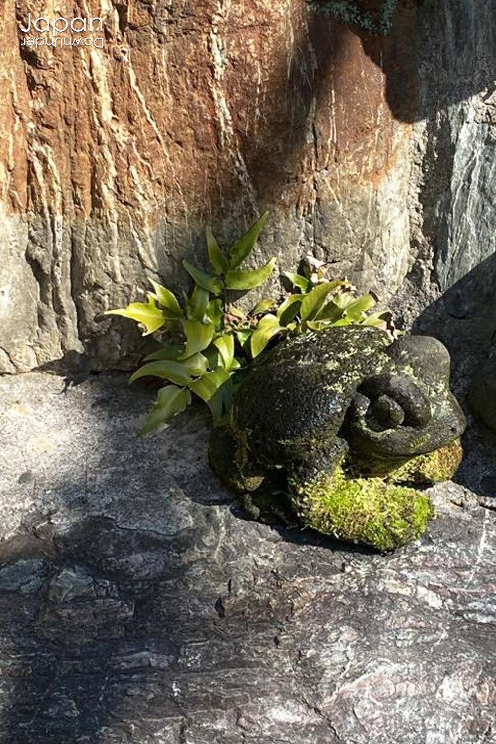 Transform your garden or indoor space with the timeless beauty and positive energy of our traditional Japanese stone frog garden decor. Known for symbolizing good fortune, luck, and protection, this delightful frog will bring a sense of tranquility and joy wherever it is placed.