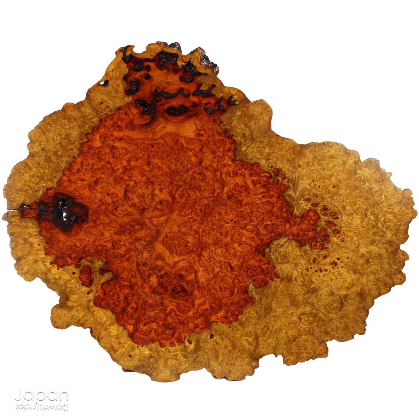 Bring timeless elegance and natural beauty into your space with this exquisite stand, handcrafted from rare burled Chinese quince wood. Designed to showcase bonsai, suiseki viewing stones, treasured ornaments, or seasonal flower arrangements, this piece adds a refined touch to any setting.