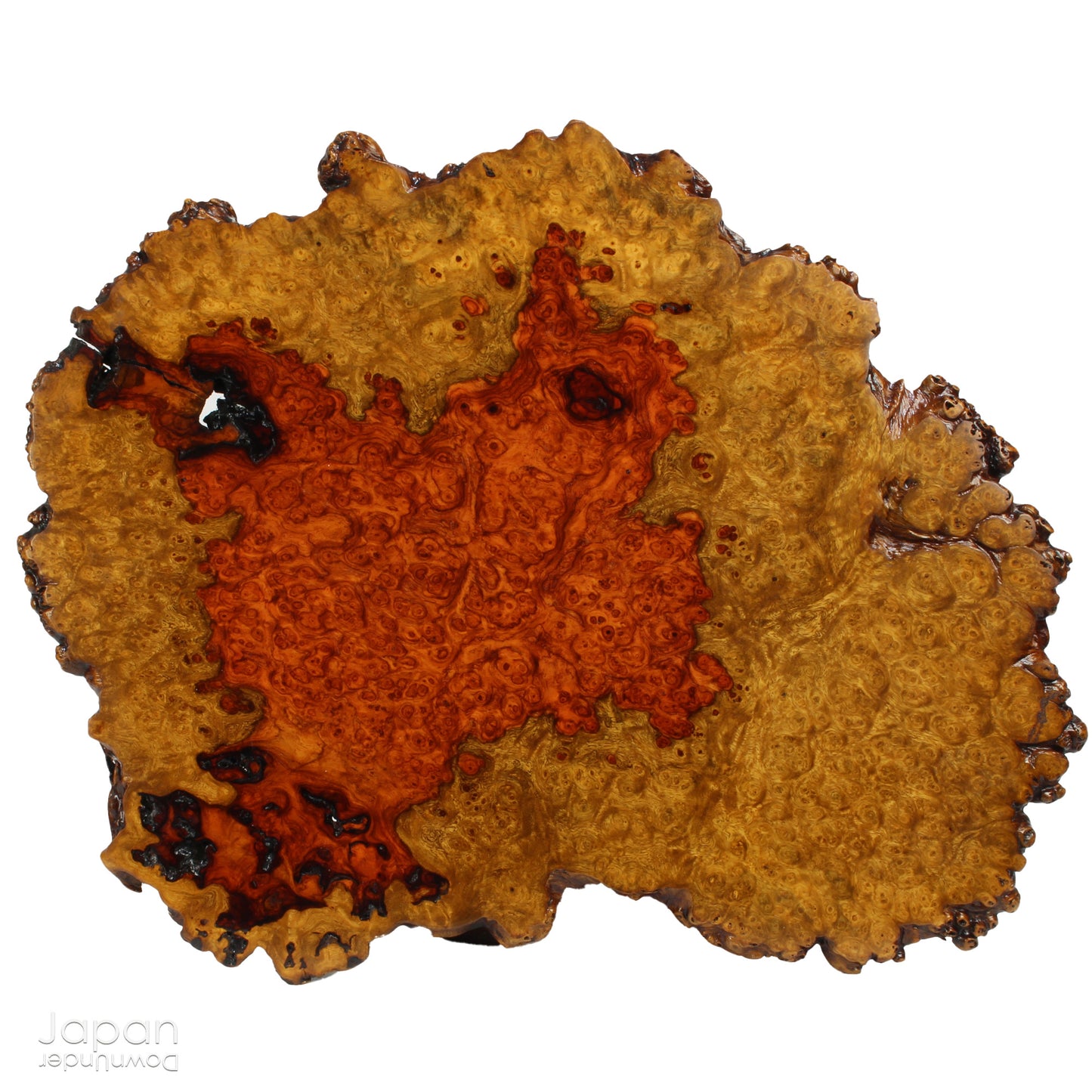 Bring timeless elegance and natural beauty into your space with this exquisite stand, handcrafted from rare burled Chinese quince wood. Designed to showcase bonsai, suiseki viewing stones, treasured ornaments, or seasonal flower arrangements, this piece adds a refined touch to any setting.