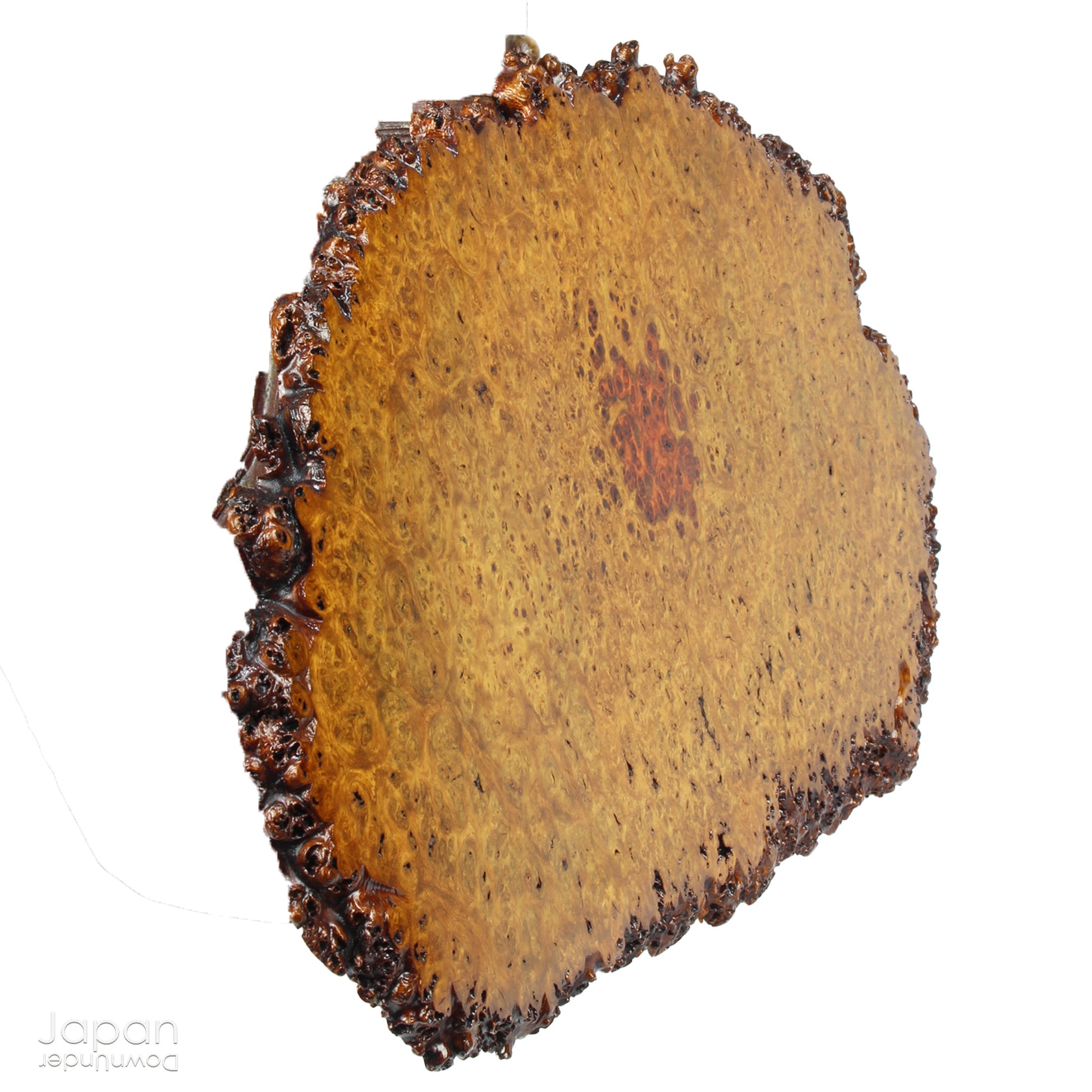 Bring timeless elegance and natural beauty into your space with this exquisite stand, handcrafted from rare burled Chinese quince wood. Designed to showcase bonsai, suiseki viewing stones, treasured ornaments, or seasonal flower arrangements, this piece adds a refined touch to any setting.