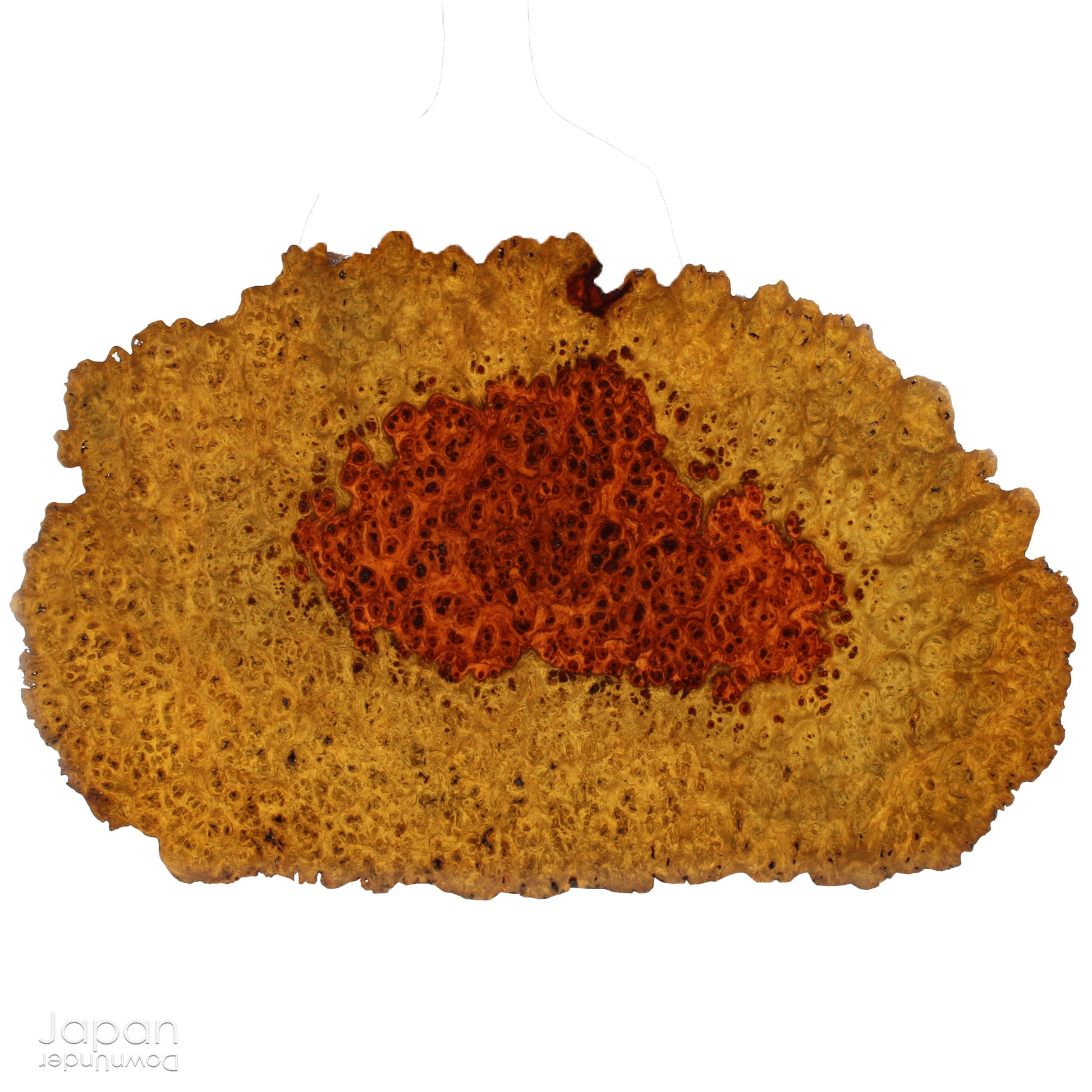 Bring timeless elegance and natural beauty into your space with this exquisite stand, handcrafted from rare burled Chinese quince wood. Designed to showcase bonsai, suiseki viewing stones, treasured ornaments, or seasonal flower arrangements, this piece adds a refined touch to any setting.