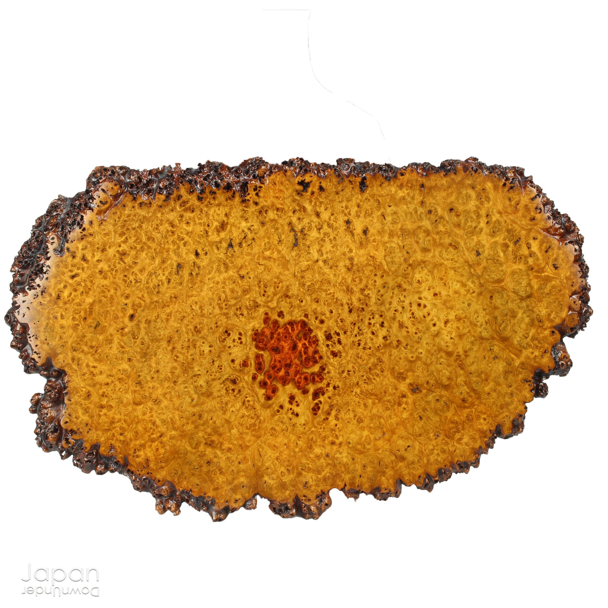 Bring timeless elegance and natural beauty into your space with this exquisite stand, handcrafted from rare burled Chinese quince wood. Designed to showcase bonsai, suiseki viewing stones, treasured ornaments, or seasonal flower arrangements, this piece adds a refined touch to any setting.