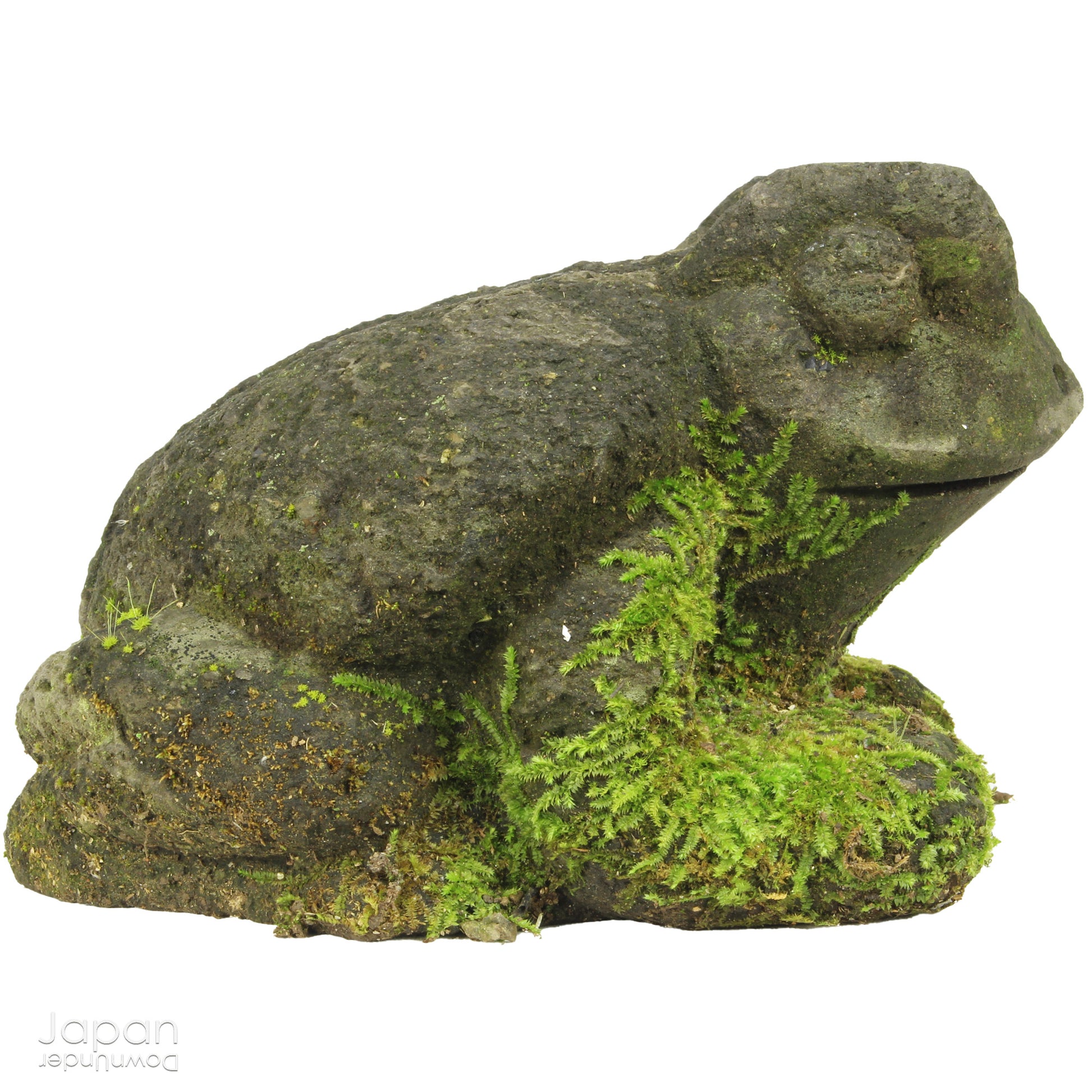 Transform your garden or indoor space with the timeless beauty and positive energy of our traditional Japanese stone frog garden decor. Known for symbolizing good fortune, luck, and protection, this delightful frog will bring a sense of tranquility and joy wherever it is placed.

Expertly crafted from volcanic stone, the frog is a unique and meaningful piece of art, embodying centuries-old symbolism. In Japan, the frog, or Kaeru, is believed to bring good things back into your life - whether it’s wealth, su